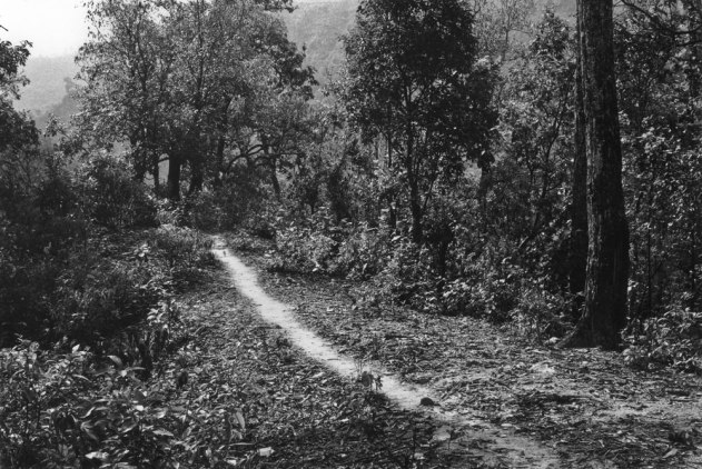 Brushed Path A Line in Nepal, Richard Long 1983